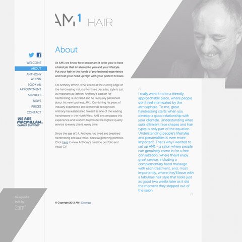 AM1 Hair Web Design