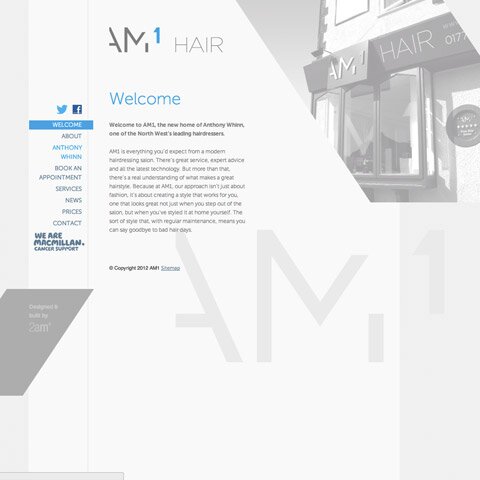 AM1 Hair Web Design